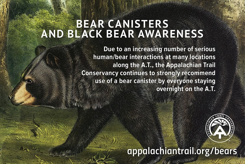 Appalachian Trial Black Bears Advertisement