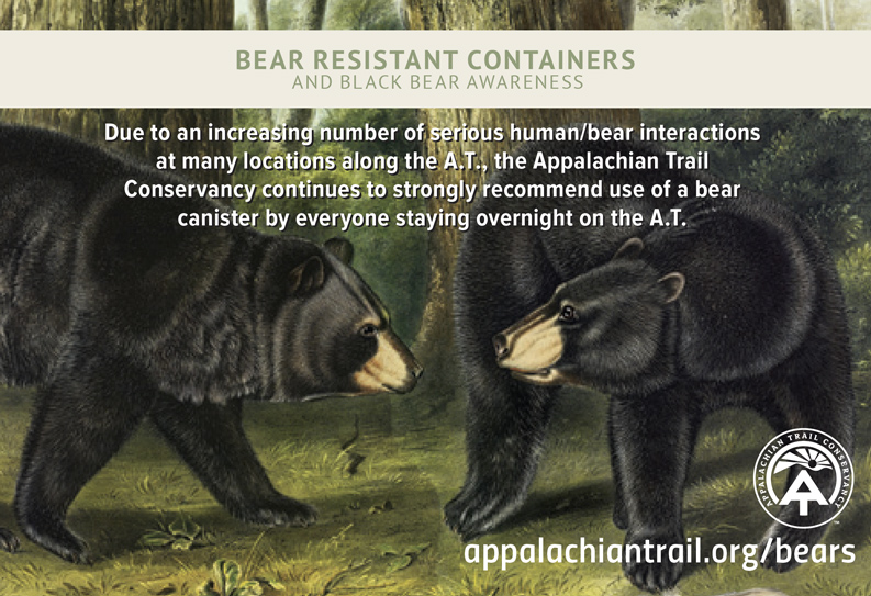 AT Bears Advertisement