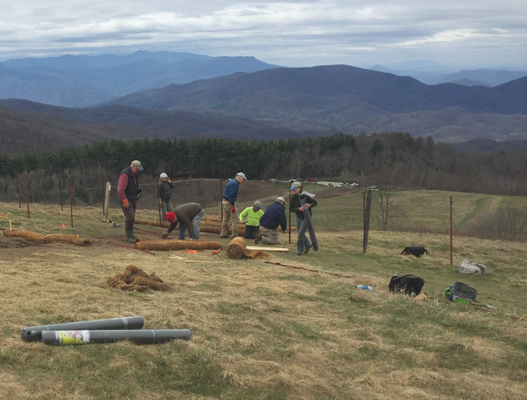 ATC staff and members of the Carolina Mountain Club plant native perennial wildflowers at Max Patch