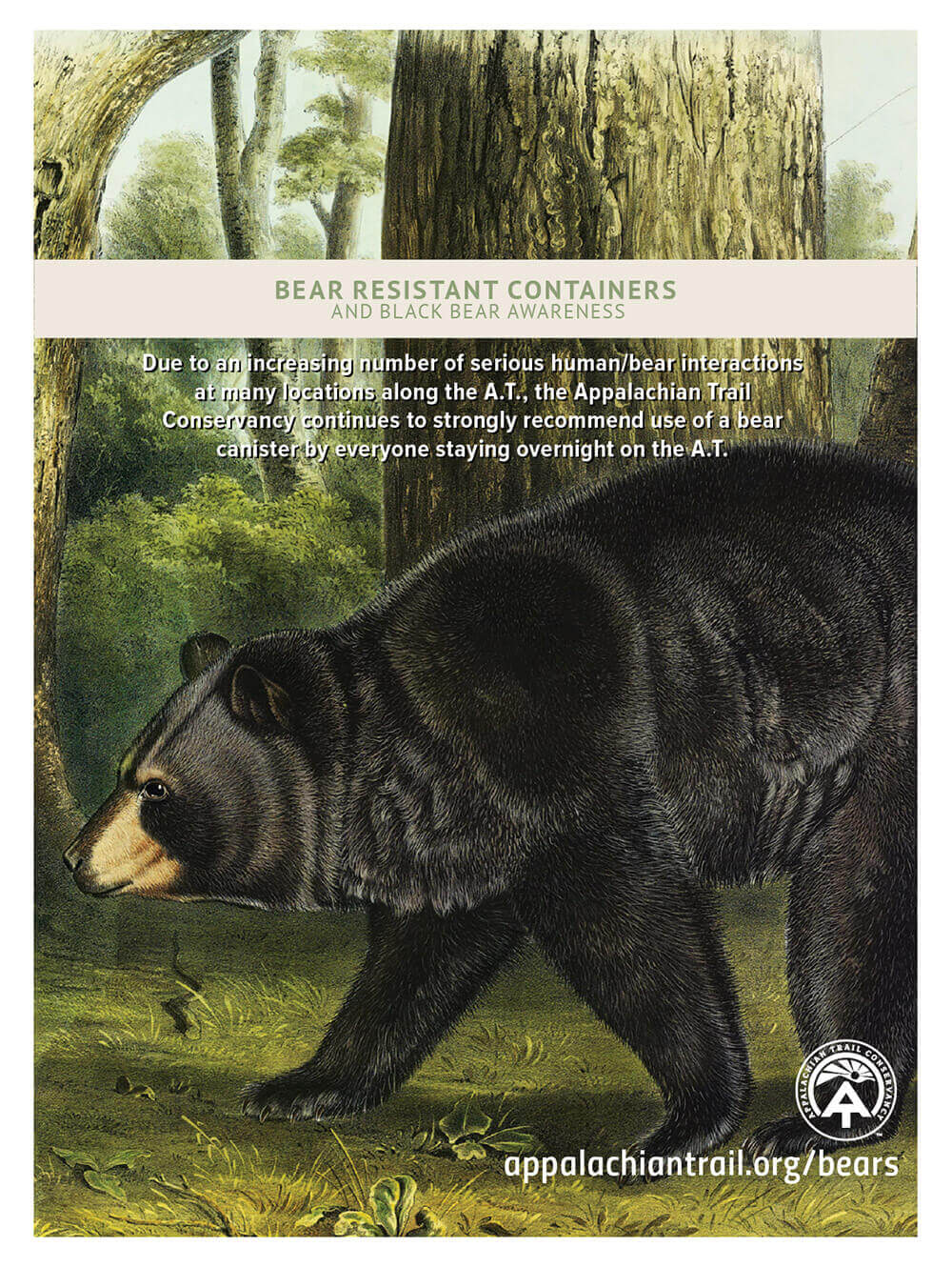 Appalachian Trail Bears Advertisement