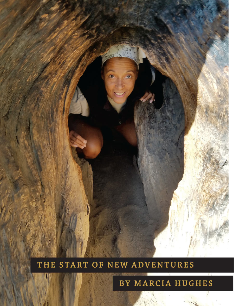 the start of new adventures by marcia hughes