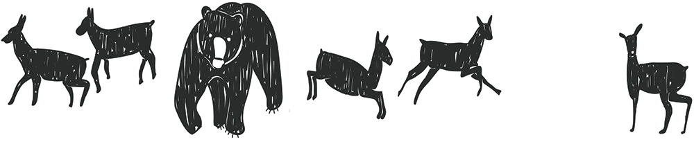 Illustration of animals 