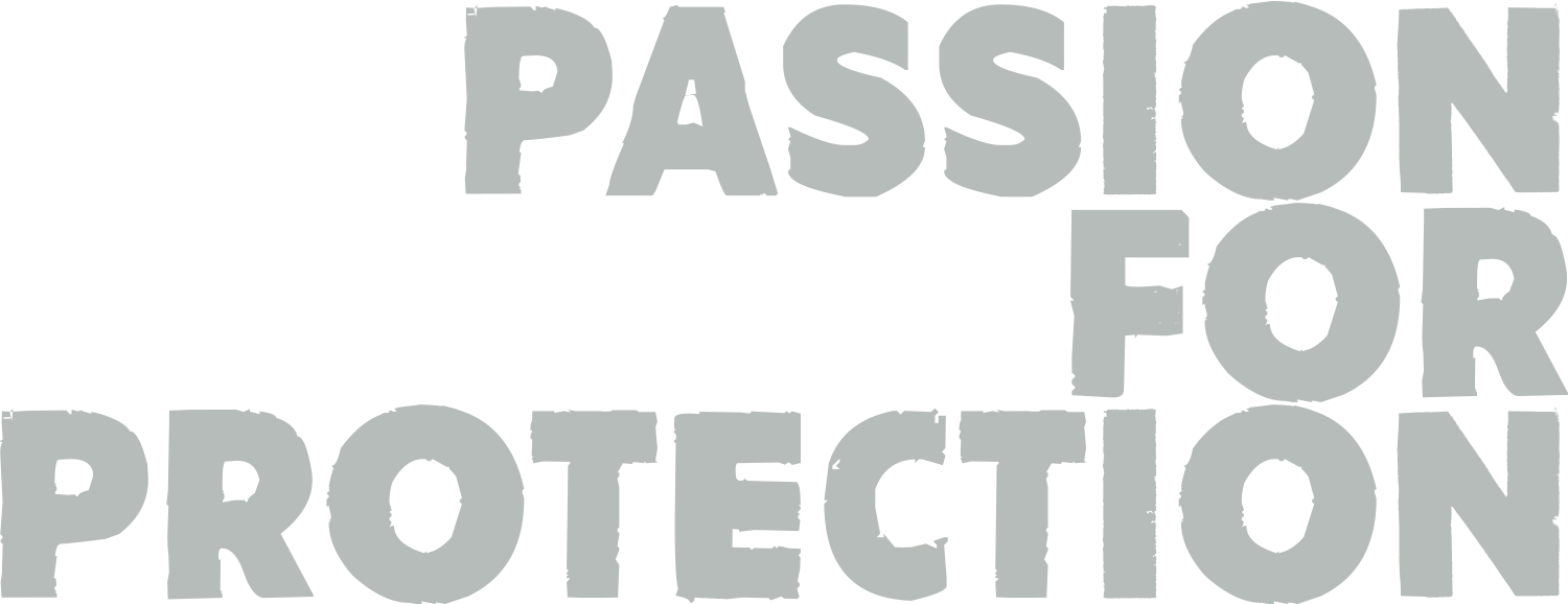 Passion for Protection typography
