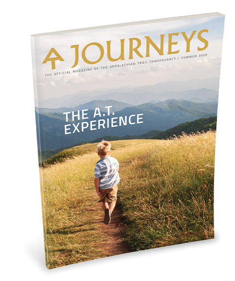 The A.T. Experience Book Cover Image