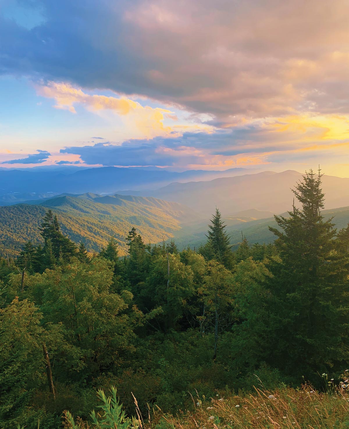 View from Charlies Bunion – Great Smoky Mountains National Park