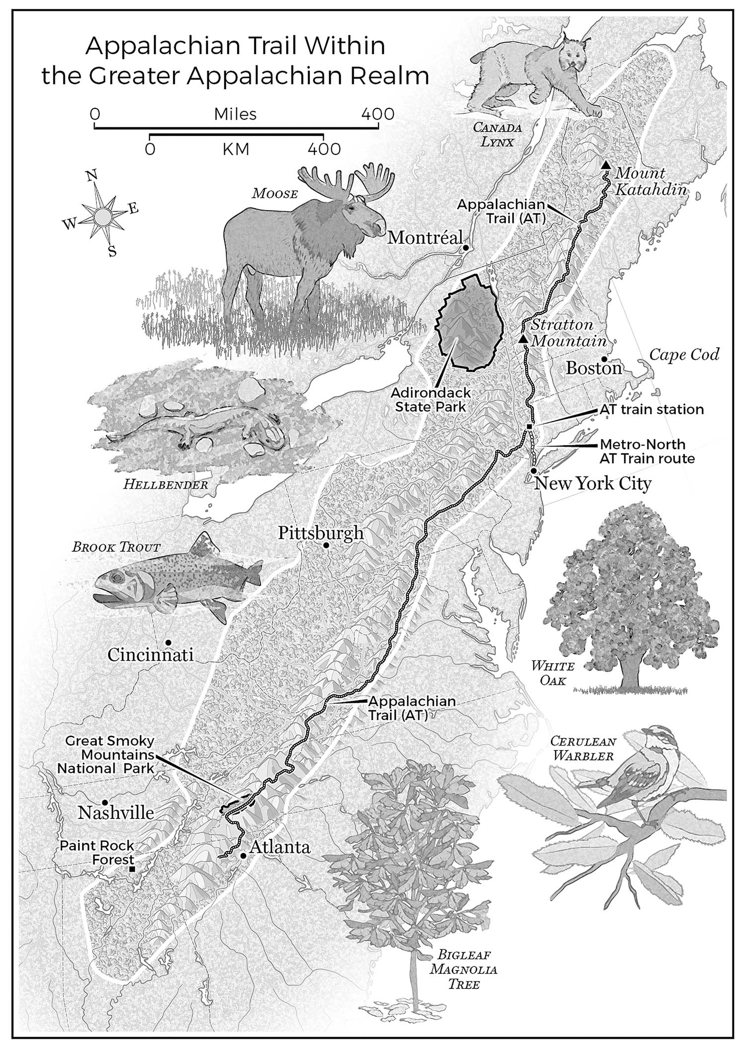 Appalachian Trail Within the Greater Appalachian Realm Map