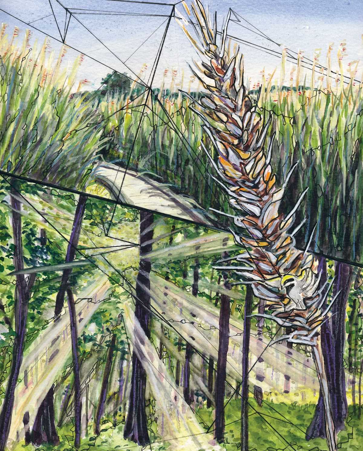 “Delicate Links” by Nika Meyers; Watercolor, ink, and colored pencil on paper — features two vital landscapes connected by the Appalachian corridor