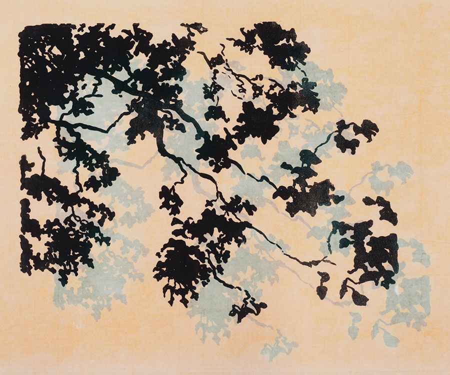 A print of leaves and branches