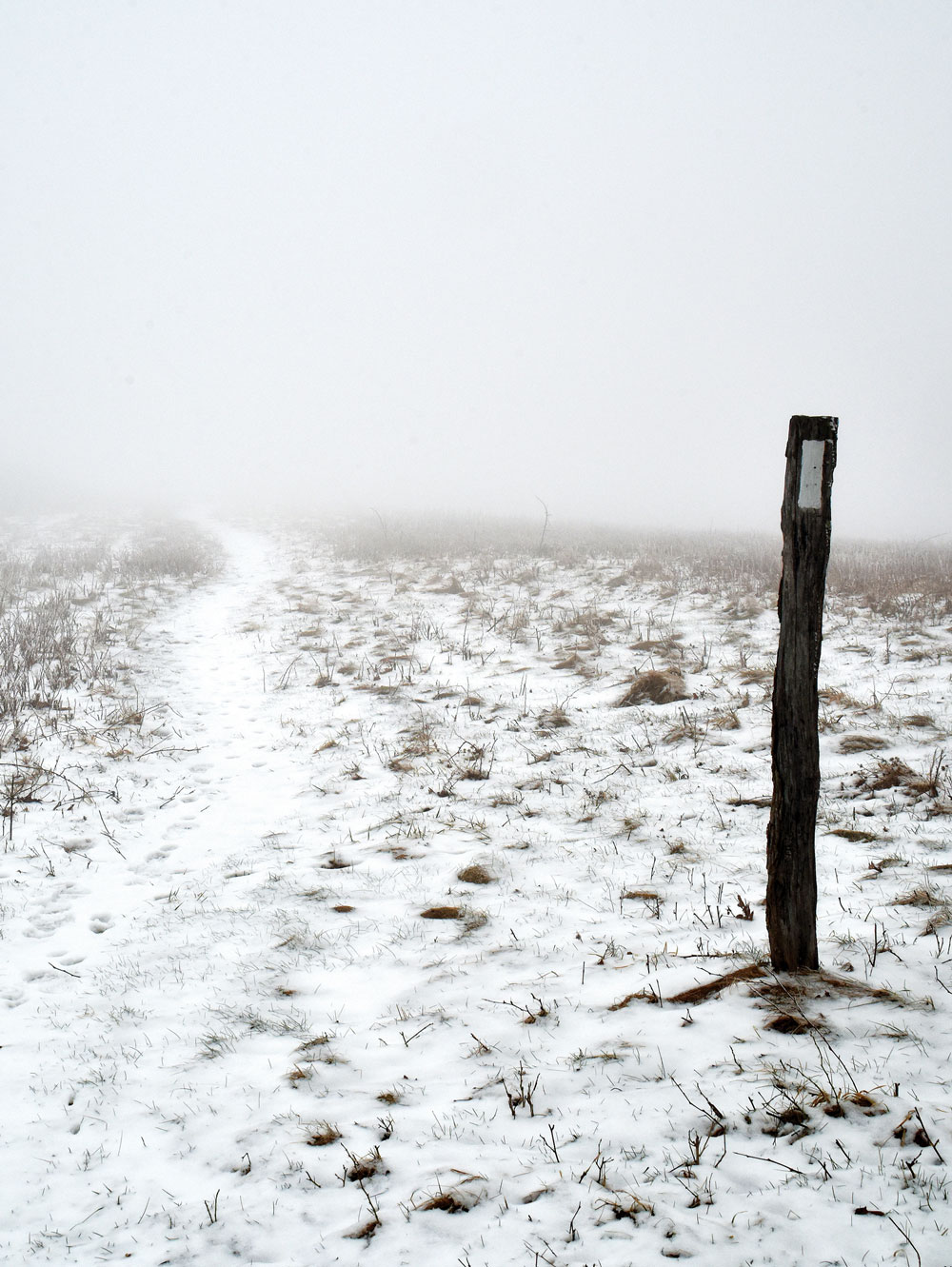 snowy path