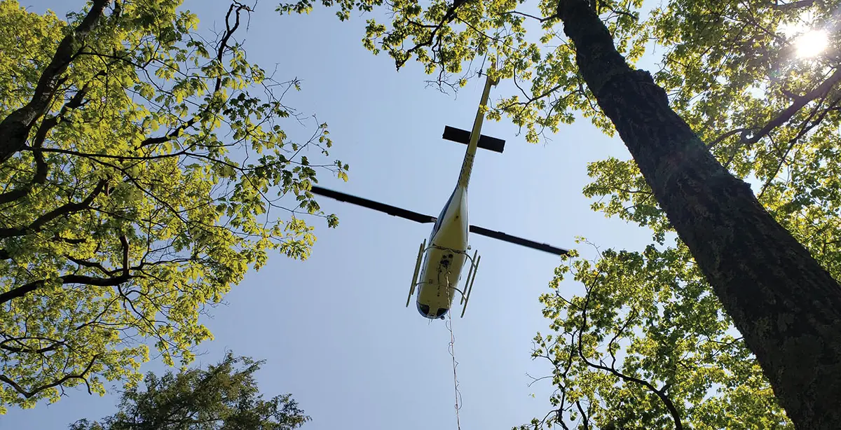 view of underside of helicopter through leaves as it flies over trail