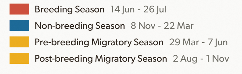 key with labels and dates regarding Golden-winged warblers’ migration