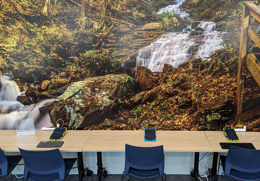 tablets on table with blue chairs in the foreground and a forest wallpaper on the wall