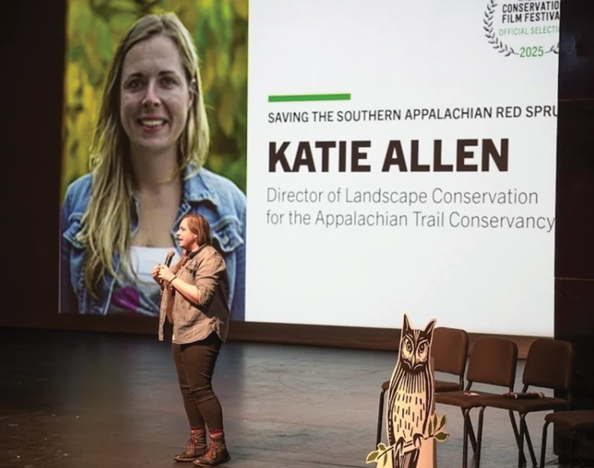 Katie Allen standing on stage and giving a presentation