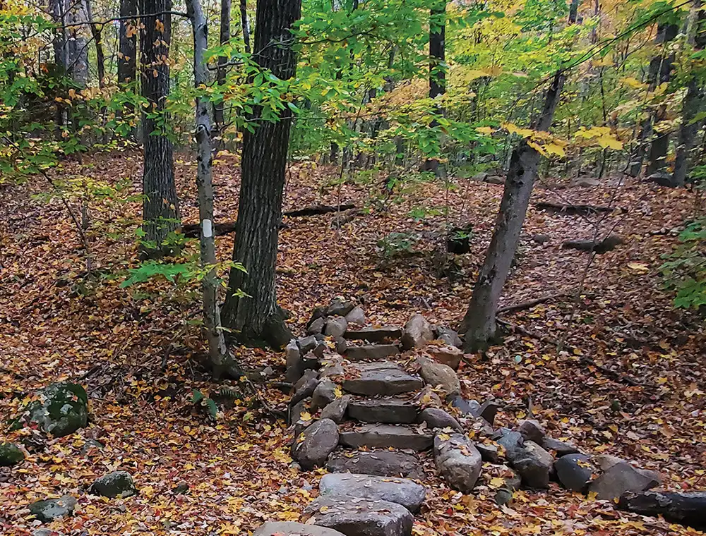 a small stone stair along a trail, created and maintained by the Dartmouth Outing Club