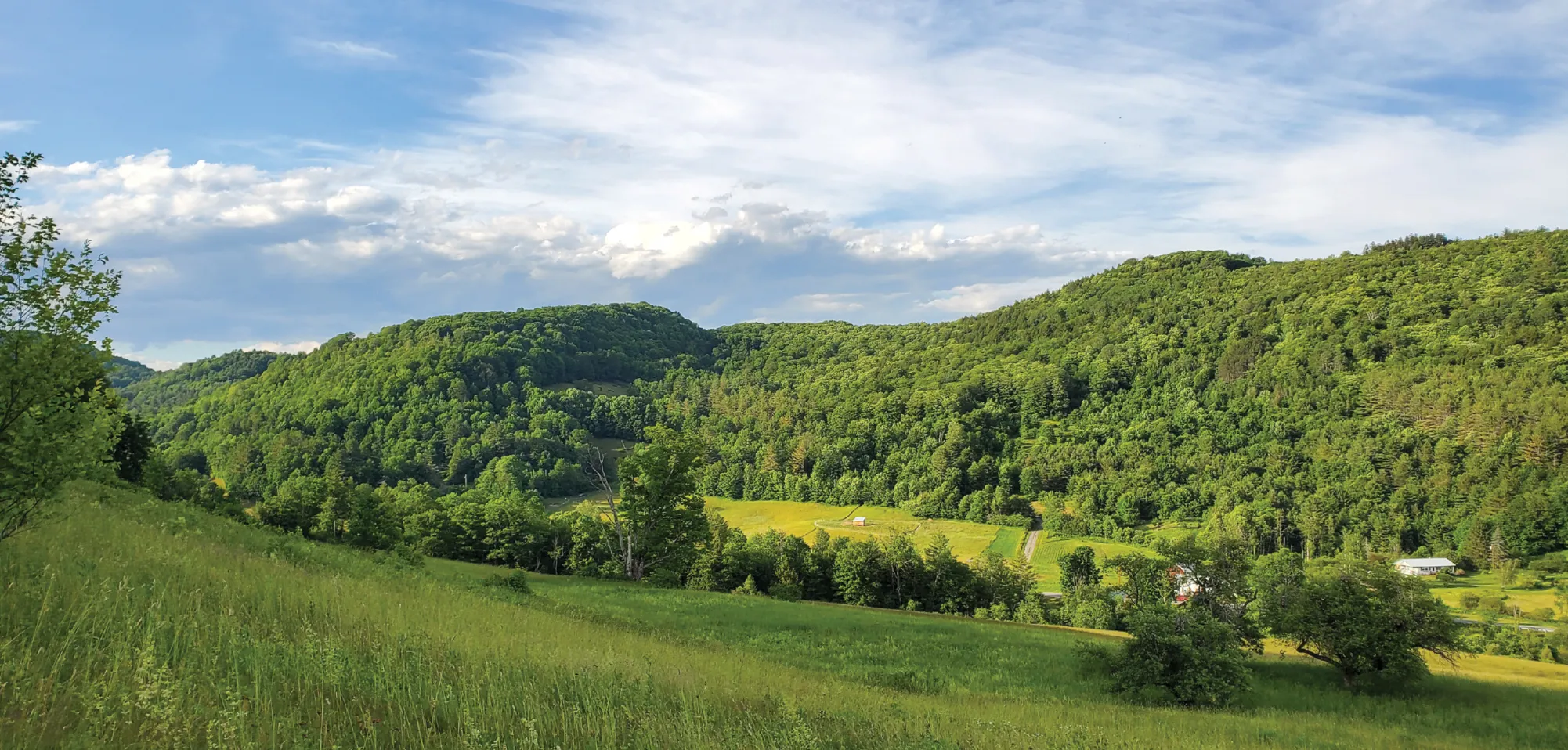 A sunlit view of rolling green hills covered in dense forest and open pasture, with scattered buildings and a narrow road visible between the trees beneath a sky with soft, scattered clouds.