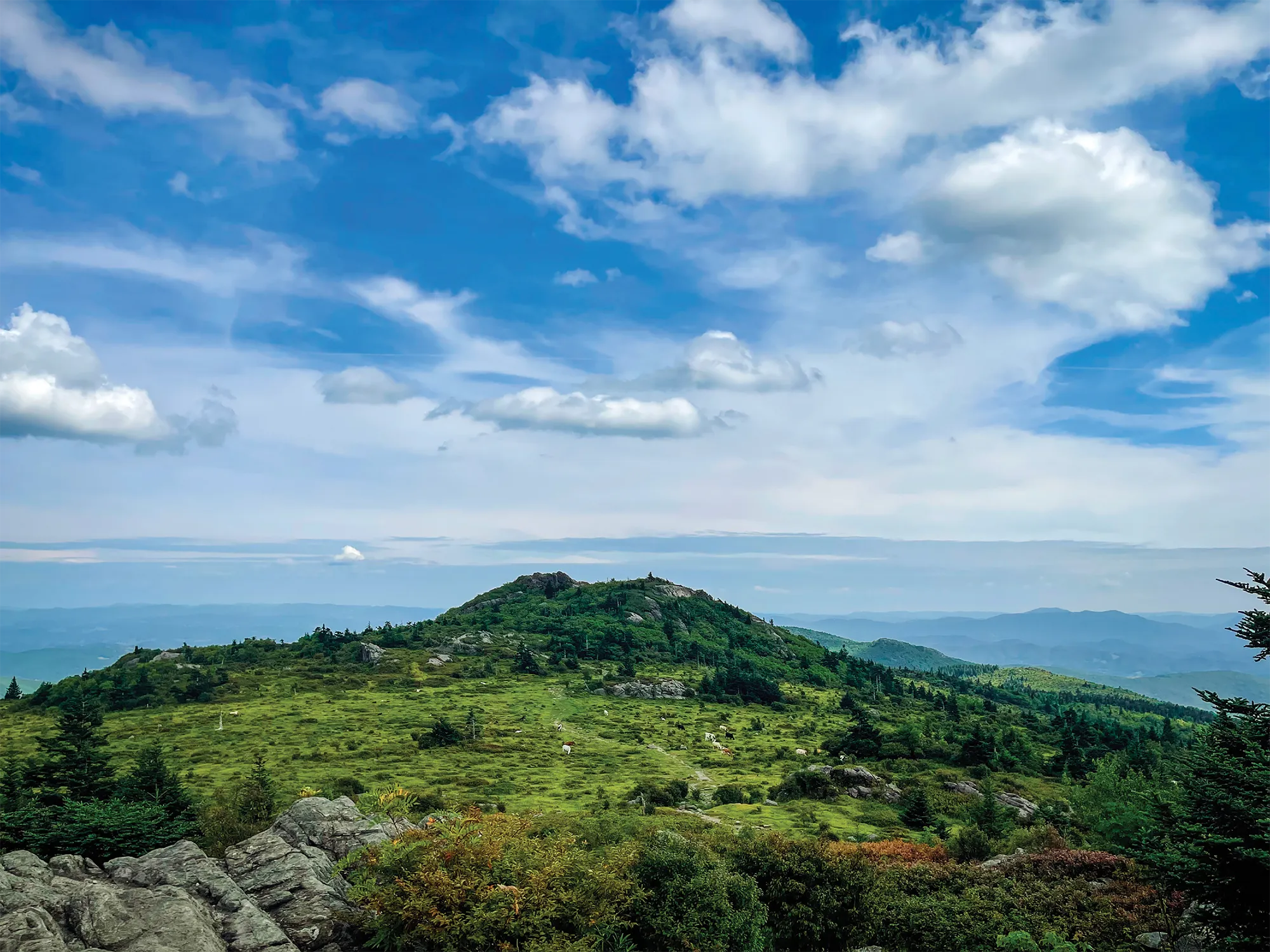 Scenic view of a lush green mountain landscape under a bright blue sky filled with white clouds, with rolling ridges and distant peaks visible on the horizon.