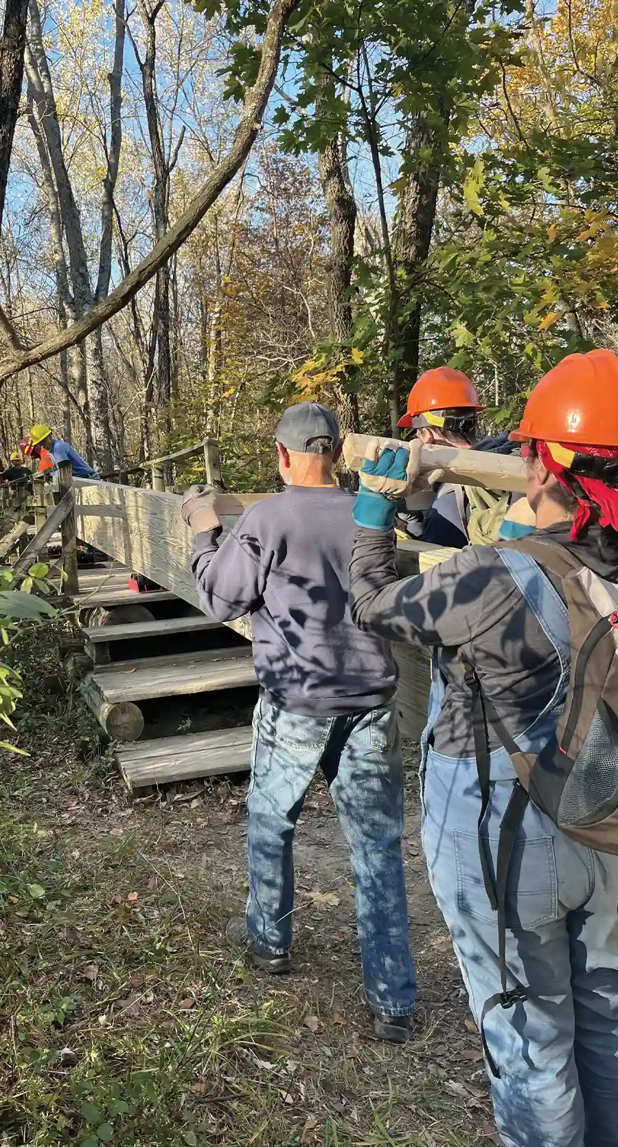 Group of volunteers carrying wood for trail bridge construction.