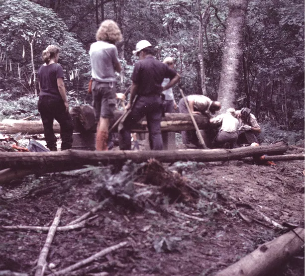 A group of trail crew members in a forest working together to build or repair a structure using large logs.