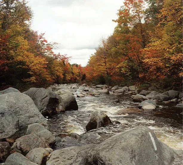 A rocky stream flowing through a forest of colorful autumn trees, with a white trail blaze painted on a foreground boulder.