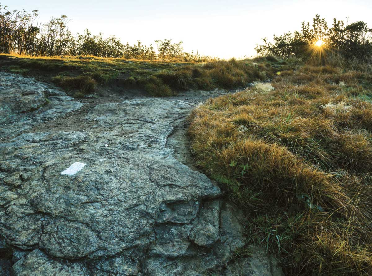 Close-up of a rocky, grassy Appalachian Trail footpath with a white trail blaze visible on the stone, under a rising or setting sun.