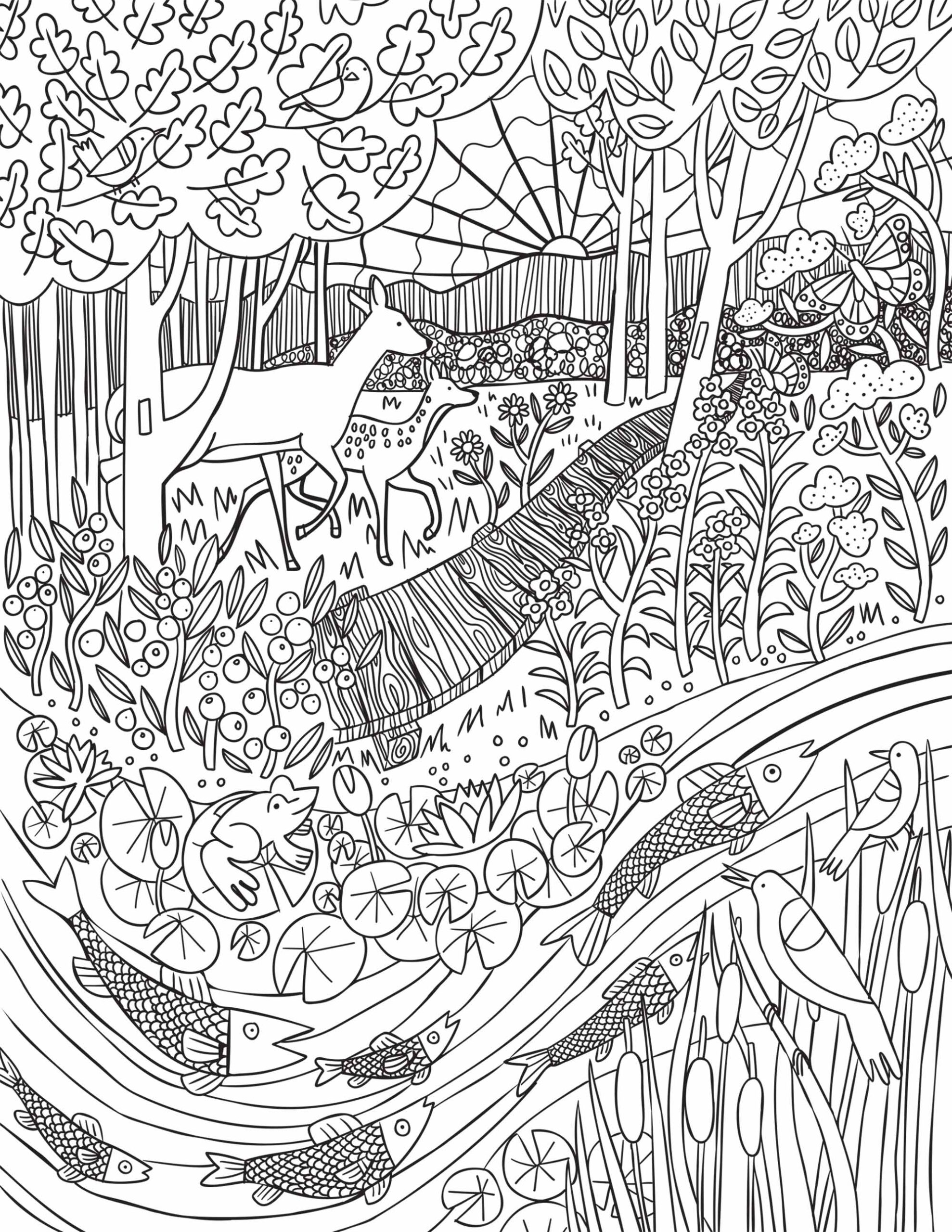  Detailed black and white line art nature illustration showing a forest with a deer, birds, a frog on lily pads, fish in a stream, and a rising sun.