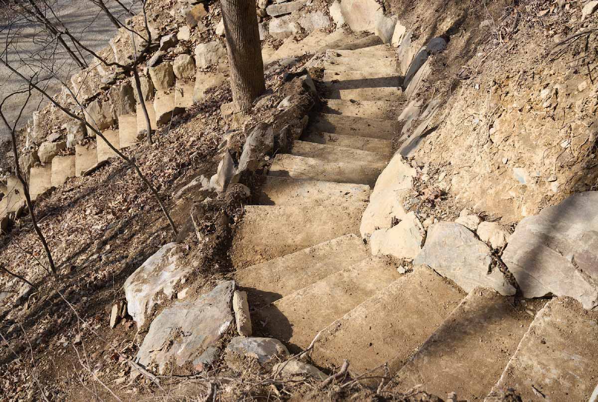A top-down view of a newly constructed set of stone stairs winding down a steep, dirt-covered forest slope next to a tree trunk.