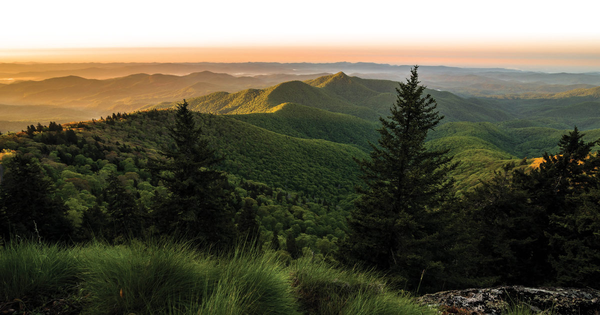 A wide, panoramic view of rolling green mountains at sunset; In the foreground, there are grassy cliffs and dark evergreen trees