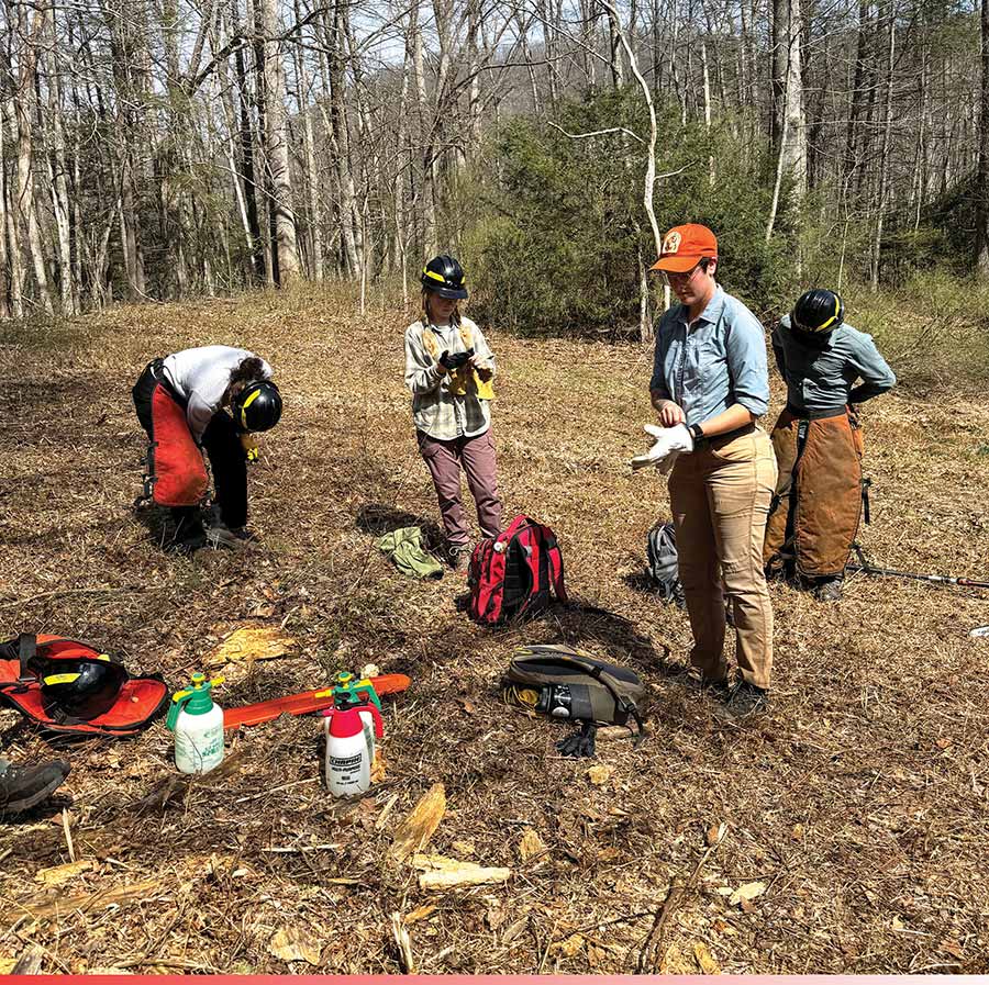 Trail crew members gather their gear and prepare for work in a grassy forest clearing.