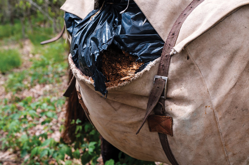 Close-up of a ripped black plastic liner revealing wood shavings inside a canvas pack bag attached to a horse.