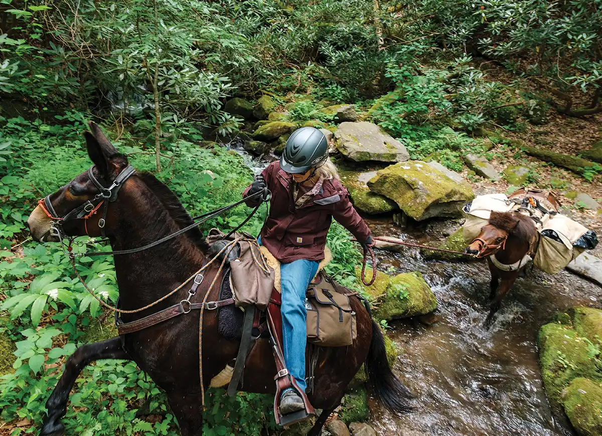 A person in a helmet and maroon jacket rides a horse through a rocky creek while leading a small pack horse.
