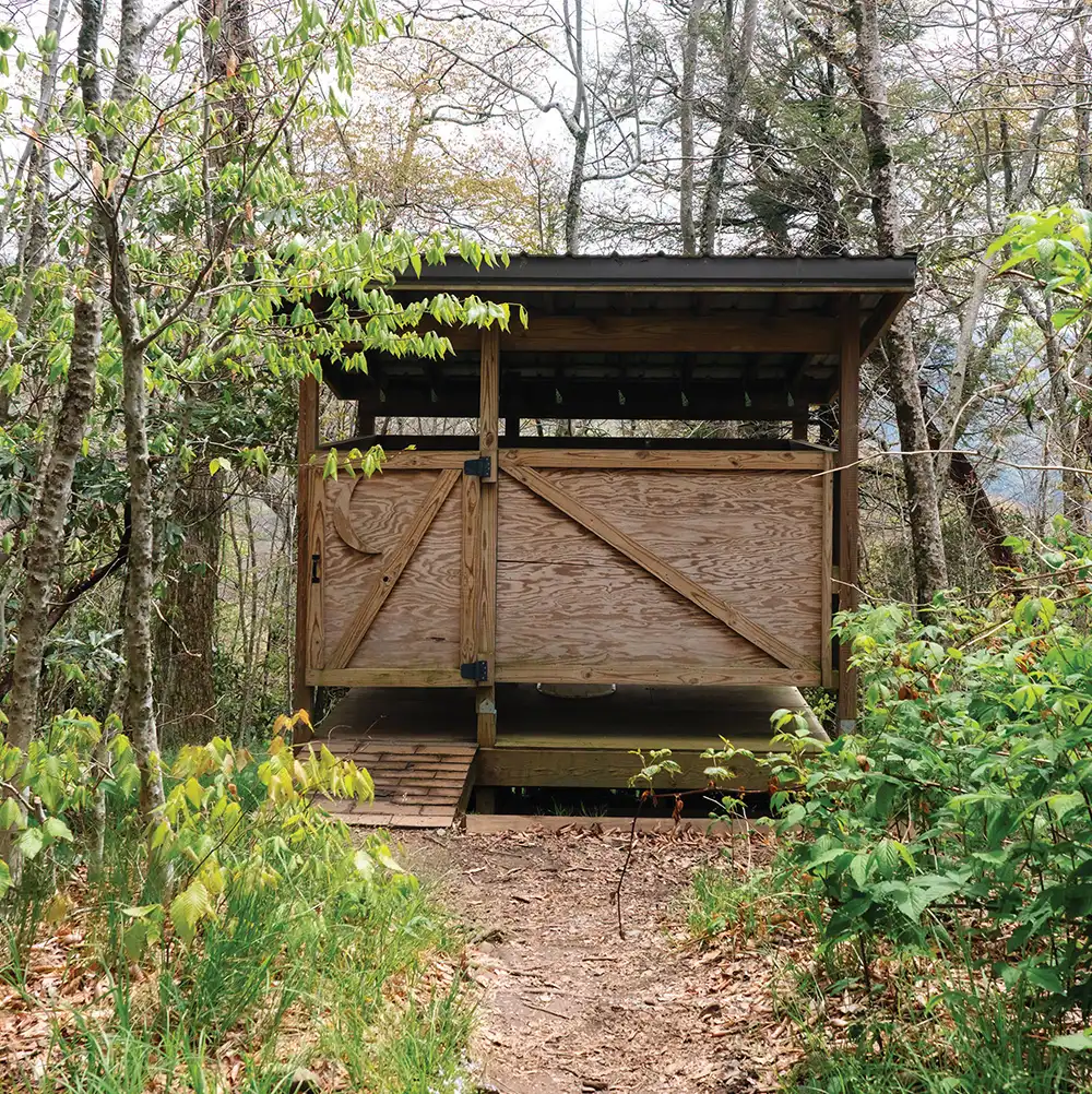 A wooden privy with a crescent moon cutout on the door stands surrounded by lush green forest vegetation.