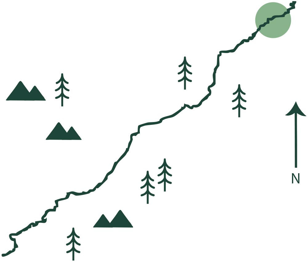 A simple map graphic showing a winding trail line interspersed with minimalist mountain and pine tree icons, plus a north arrow pointer.