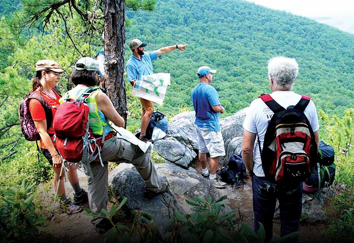 A group of hikers on a rocky overlook, looking out over a vast forest.