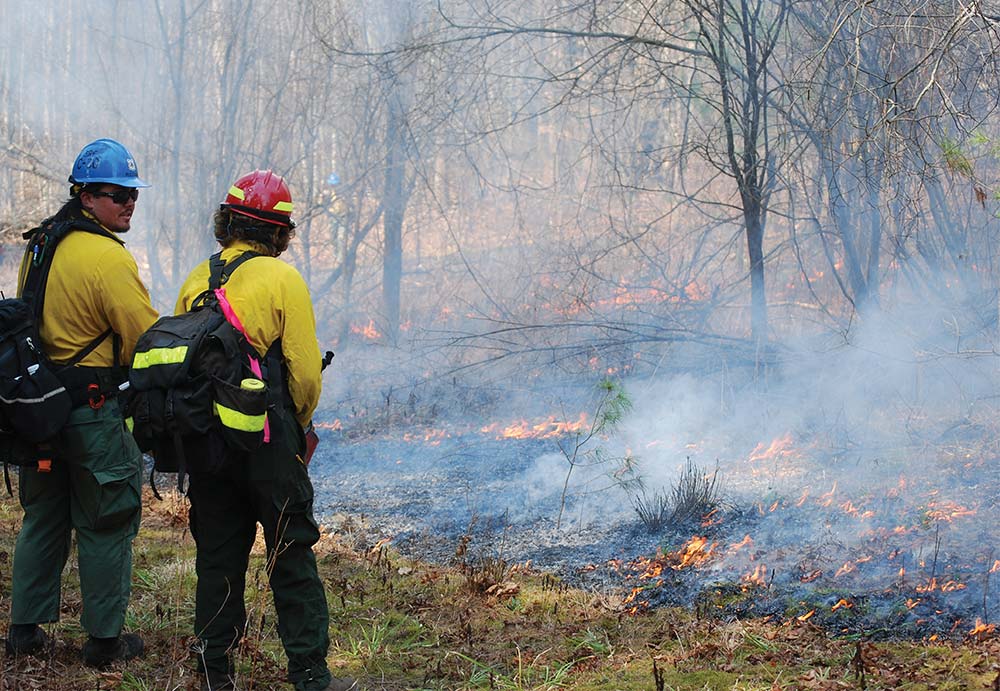 Two wildland firefighters monitoring a controlled prescribed burn in a smoky forest.